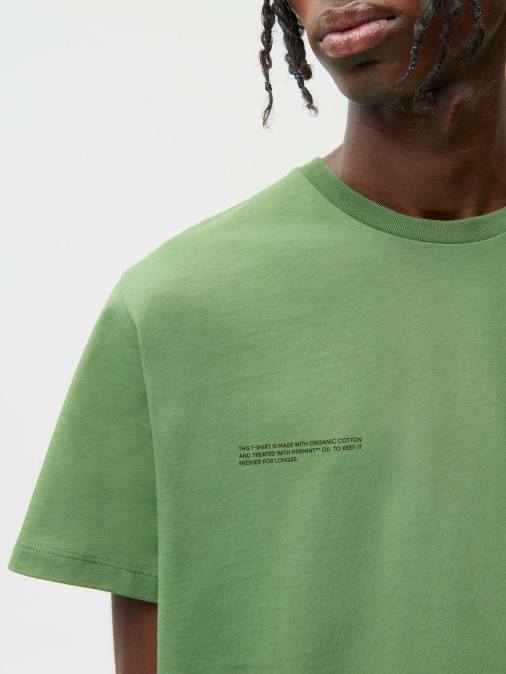 mujer camiseta - amplificador de avellana Pangaia tallo verde ropa TDTH152