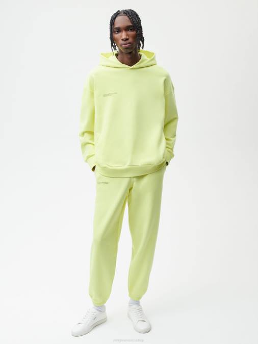 mujer Pantalones de chándal 365 - amplificador avellana Pangaia verde de los andes ropa TDTH341