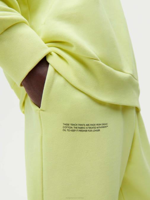 mujer Pantalones de chándal 365 - amplificador avellana Pangaia verde de los andes ropa TDTH341